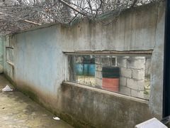 -东湖小天池真人CS彩弹野战基地