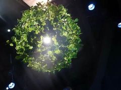 -胡桃里乐队酒馆(鎏嘉码头店)