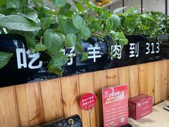 -313羊庄·羊肉火锅烧烤(李村店)