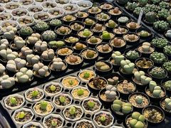 -瑞虹新天地月亮湾