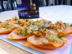 扇贝-望海观澜海景音乐餐吧(帆船基地店)