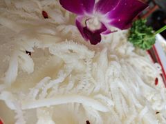 牛百叶-渝都辣夫重庆老火锅(华新店)