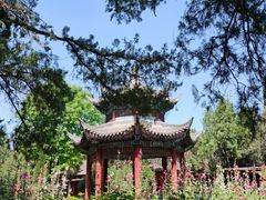 -洛阳白马寺