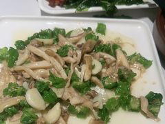 -滇铺子·云南特色菜·第九届野生菌美食节(东风东路c86店)