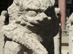 -西安碑林博物馆
