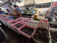 -南沙十九涌渔人码头-南门