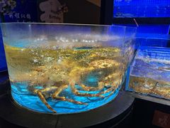 -徐记海鲜(大雁塔|金都店)