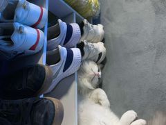 -零纪元VR体验馆·桌游(黄浦店)