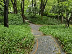 -徐家汇源景区-衡山公园