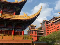 -东莞市大岭山森林公园
