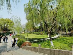 -柳浪闻莺公园