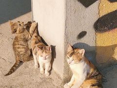 -广州市紫泥堂文化创意园景区