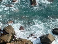 -广东惠东海龟国家级自然保护区