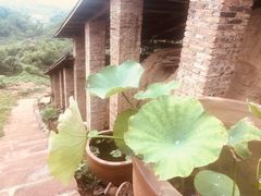 -远山有窑
