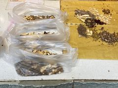 -庆德堂中医馆·小儿推拿(江北店)
