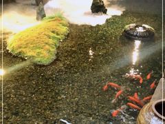 -几荷·恰似故人来(秀水广场店)
