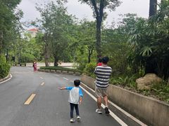-东莞塘厦三正半山温泉酒店·沙利文西餐厅