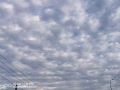 -老林烧烤