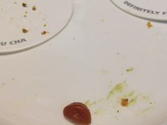 -TD66高山铁皮石斛养生茶饮