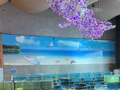 -蓝珊海鲜澳洲和牛自助餐厅