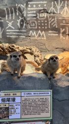 -Zoolung Zoolung动物主题公园(海信广场店)