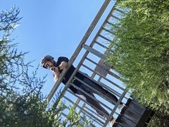 -亲兄弟真人CS团建拓展基地