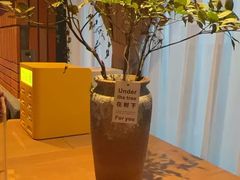 -泰合玺·精油疗愈SPA(狮山天街生活广场店)