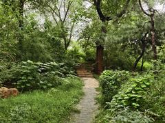 -元大都城垣遗址公园