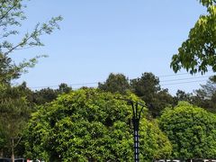 -铁山坪森林公园