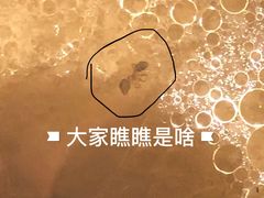 -牛事制造局牛肉火锅(莲岳路店)