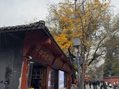 -洞子口张老二凉粉(文殊院店)