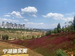 -安宁市宁湖森林公园