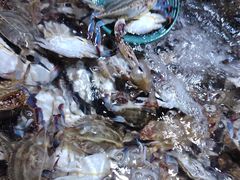 -聚盛源蒸汽海鲜火锅烤肉自助(巨川金海岸购物广场店)