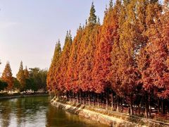 -白鹭湾湿地公园