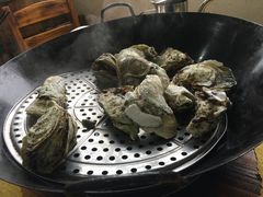 -蚝专家(北滘店)