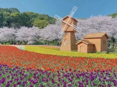 -石湖景区