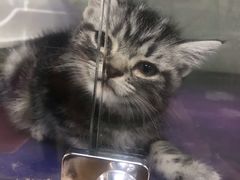 -乐宠宠物店(世纪金源店)