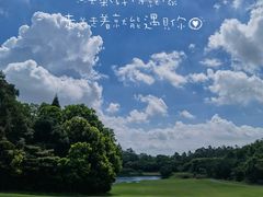 -南沙高尔夫球会