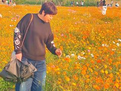 -径山花海
