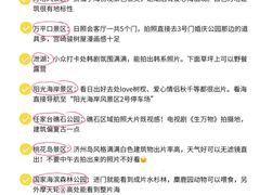 -日照海滨国家森林公园