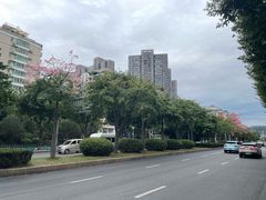 -耙豌豆重庆小面
