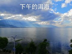 -野菌皇海景野生菌火锅(滨海大道店)