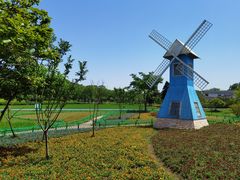 -宜兴龙背山森林公园