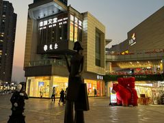 -龙湖杭州滨江天街