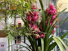 -FEI FEI FLOWER鲜花店·气球派对·宝宝宴布置(虹口德必运动Loft店)