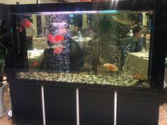 -悦百味·品质川菜(橄榄郡店)