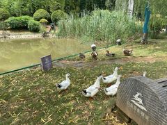 -白鹿原影视城