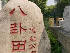 -八卦田遗址公园