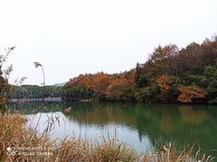 -白马涧龙池景区