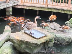 -南宫五洲植物乐园